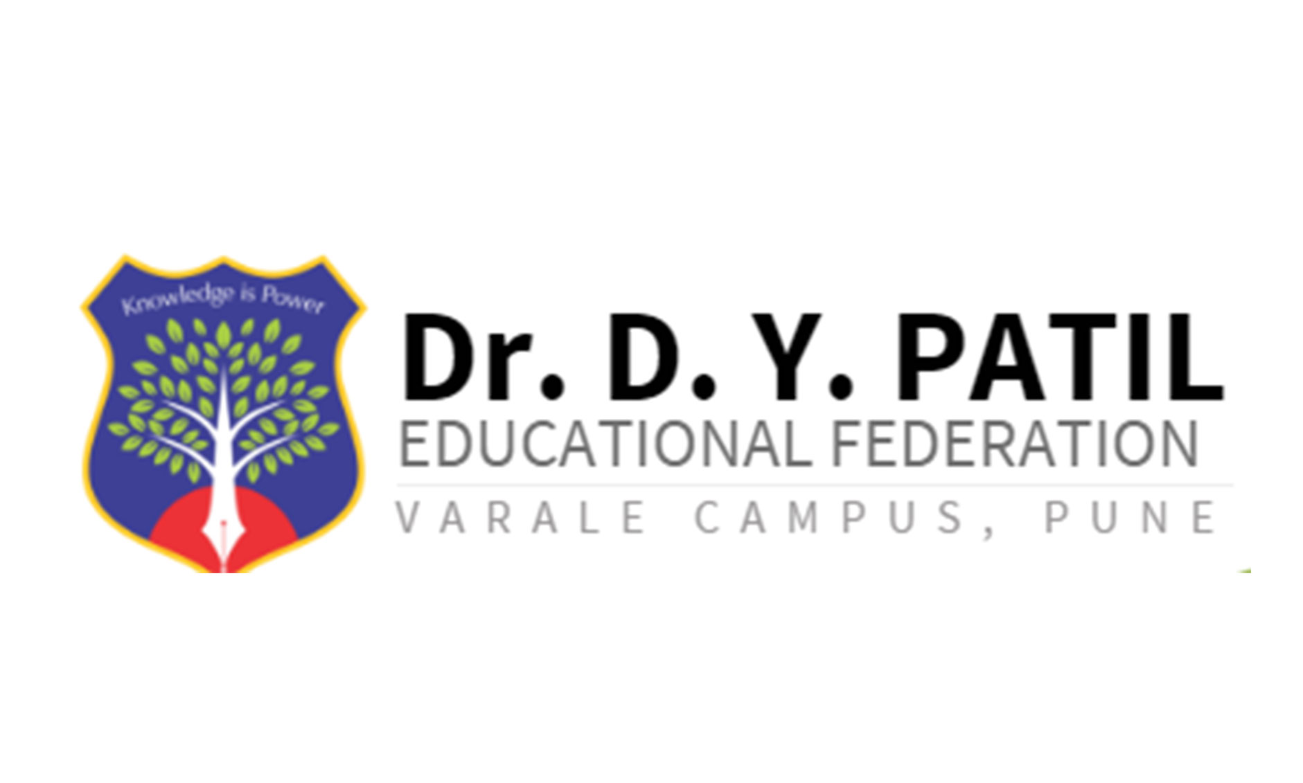 Dr. D. Y. Patil Educational Federation